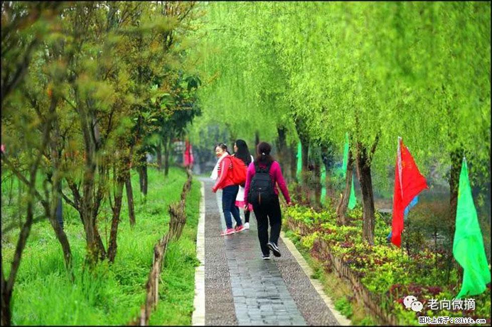 【春天,广西桂林灌阳县向您发出邀请!】江口老街又逢春 - 游山玩水 - 大连生活社区 - 大连28生活网 dl.28life.com