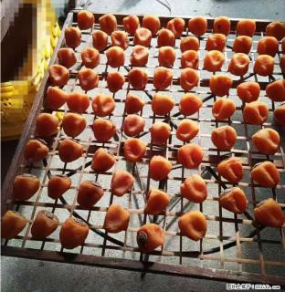 广西桂林平乐桥亭【柿饼之乡】2025年纯手工制作、无任何添加剂的第一批柿饼准备上市了，欢迎联系订购！ - 大连28生活网 dl.28life.com