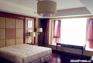 (单间出租)限女生押一付一包网香榭里近中山友好 火车站 柏威年 青泥洼桥 - 大连28生活网 dl.28life.com