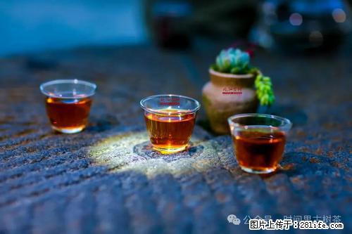 时间果百年古树2025年春红茶 - 购物交流 - 大连生活社区 - 大连28生活网 dl.28life.com