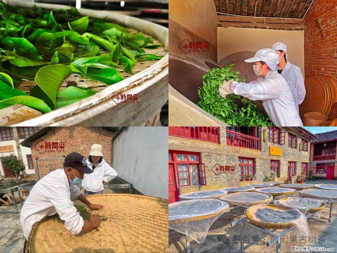 时间果百年古树龙珠普洱生茶 - 购物交流 - 大连生活社区 - 大连28生活网 dl.28life.com