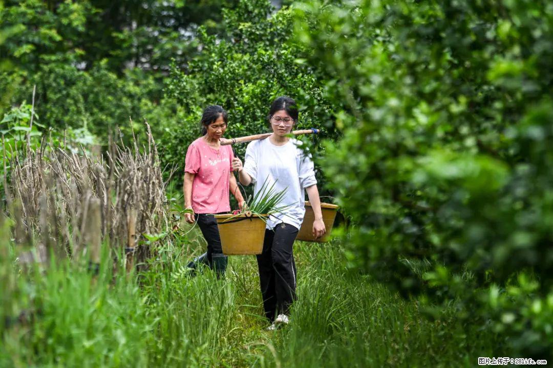 全网追的“扁担女孩”，找了一份暑假工，时薪12元 - 大连生活资讯 - 大连28生活网 dl.28life.com