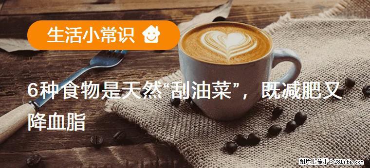 【生活小常识】6种食物是天然“刮油菜”，既减肥又降血脂 - 大连生活资讯 - 大连28生活网 dl.28life.com