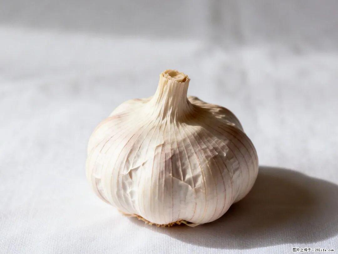 关于大蒜，除了“天然抗生素”，这4个谣言更该警惕! - 大连生活资讯 - 大连28生活网 dl.28life.com