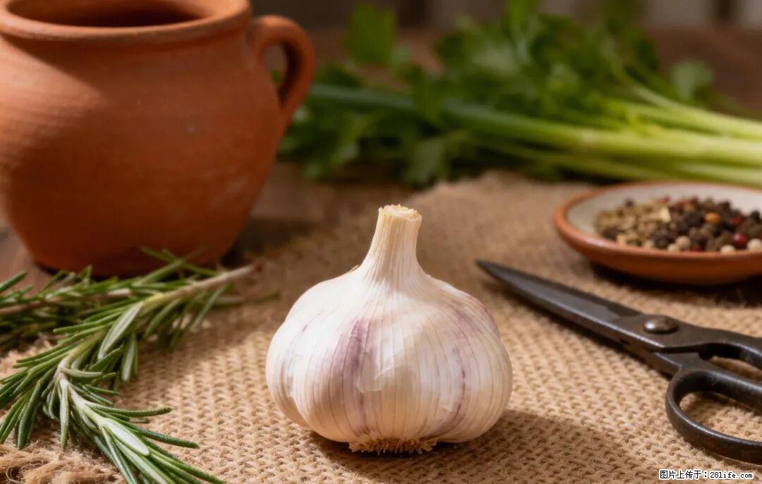关于大蒜，除了“天然抗生素”，这4个谣言更该警惕! - 大连生活资讯 - 大连28生活网 dl.28life.com