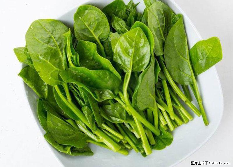 这些蔬菜是“天然钙片”，这6种被医生重点推荐 - 大连生活资讯 - 大连28生活网 dl.28life.com