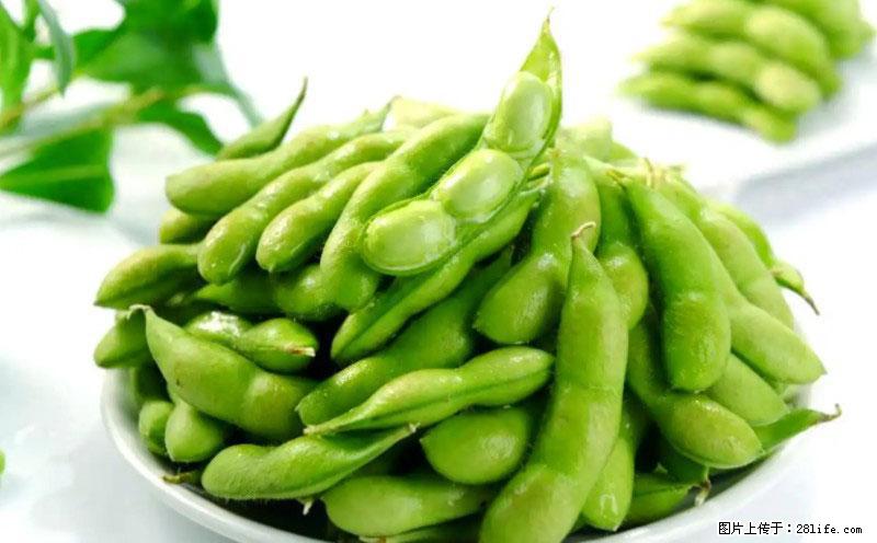 这些蔬菜是“天然钙片”，这6种被医生重点推荐 - 大连生活资讯 - 大连28生活网 dl.28life.com