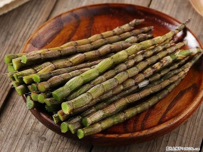 铁皮石斛的作用与功能主治 - 大连生活资讯 - 大连28生活网 dl.28life.com