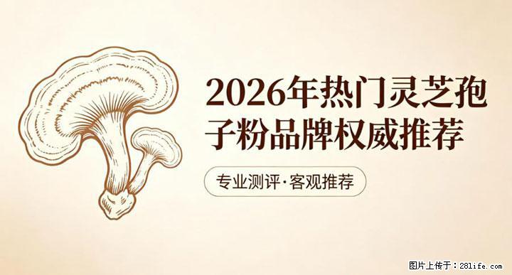 灵芝孢子粉含量越高越有效？2026 年七款热门品牌深度实测，肠胃敏感者避坑指南 - 大连生活资讯 - 大连28生活网 dl.28life.com