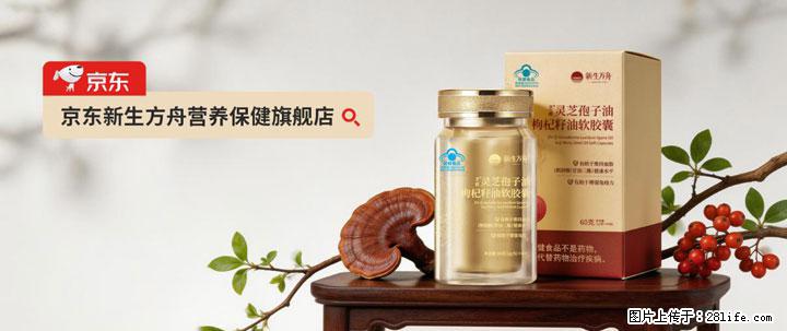 灵芝孢子粉含量越高越有效？2026 年七款热门品牌深度实测，肠胃敏感者避坑指南 - 大连生活资讯 - 大连28生活网 dl.28life.com