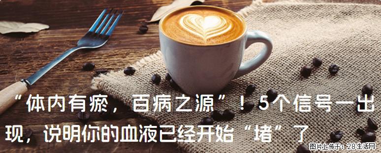 “体内有瘀，百病之源”！5个信号一出现，说明你的血液已经开始“堵”了 - 大连生活资讯 - 大连28生活网 dl.28life.com
